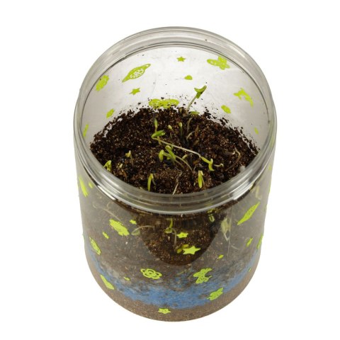 Hodowla dinozaurów terrarium projektor z lampką nocną LED Hodowla dinozaurów terrarium projektor z lampką nocną LED