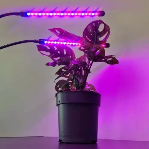 Lampa 20 LED 2szt. do wzrostu roślin Gardlov 19241 Lampa 20 LED 2szt. do wzrostu roślin Gardlov 19241
