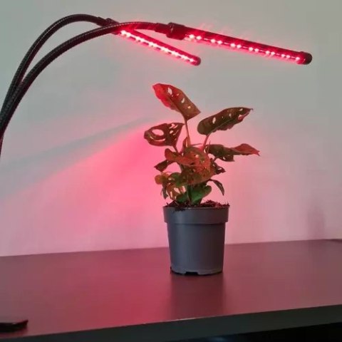 Lampa 20 LED 2szt. do wzrostu roślin Gardlov 19241 Lampa 20 LED 2szt. do wzrostu roślin Gardlov 19241