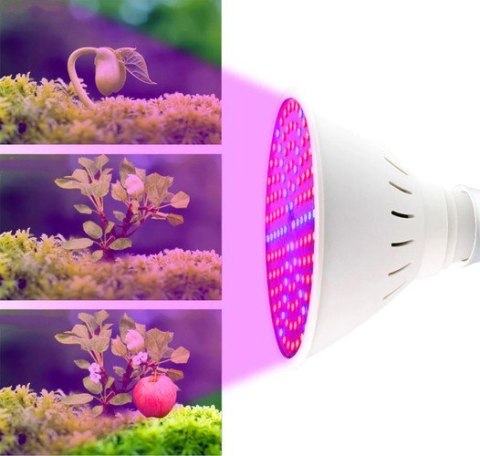 Lampa 200 LED do wzrostu uprawy roślin Lampa 200 LED do wzrostu uprawy roślin
