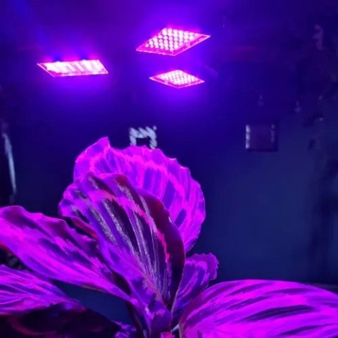 Lampa 108 LED do wzrostu roślin Gardlov 20440 Lampa 108 LED do wzrostu roślin Gardlov 20440