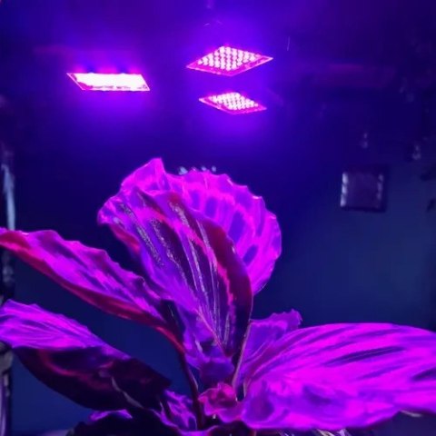 Lampa 108 LED do wzrostu roślin Gardlov 20440 Lampa 108 LED do wzrostu roślin Gardlov 20440