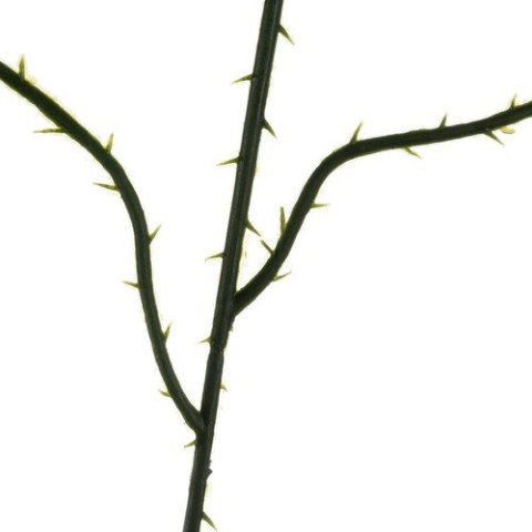 Sztuczne liście 47cm- zestaw 12szt. Gardlov 22557 Sztuczne liście 47cm- zestaw 12szt. Gardlov 22557