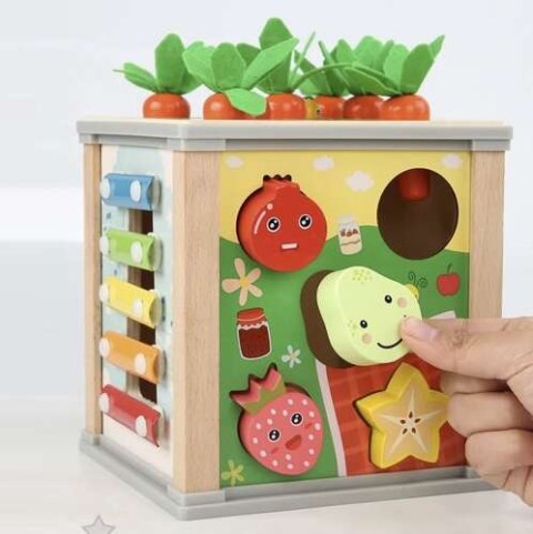 Kostka edukacyjna drewniana- sorter Kruzzel 22566 Kostka edukacyjna drewniana- sorter Kruzzel 22566