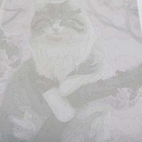 Malowanie po numerach 40x50cm- kotek Maaleo 22783 Malowanie po numerach 40x50cm- kotek Maaleo 22783