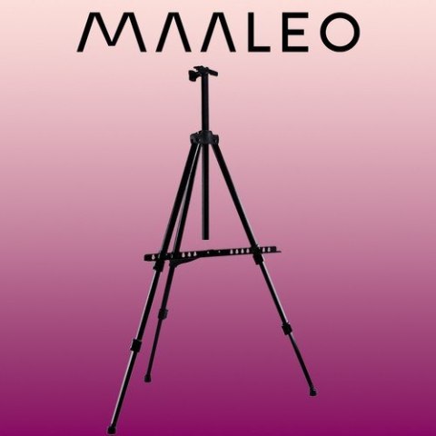Sztaluga malarska 23669 Sztaluga malarska 23669