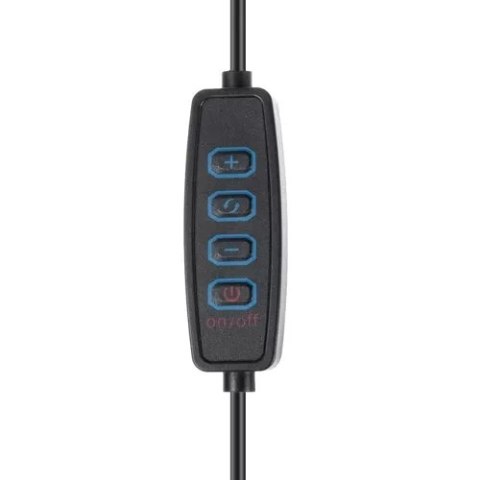 Lampka biurkowa 2w1 Izoxis 23503 Lampka biurkowa 2w1 Izoxis 23503