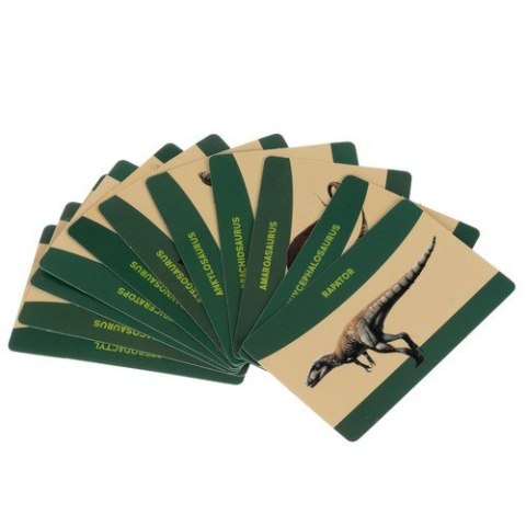Jajo dinozaura - wykopaliska 24981 Jajo dinozaura - wykopaliska 24981