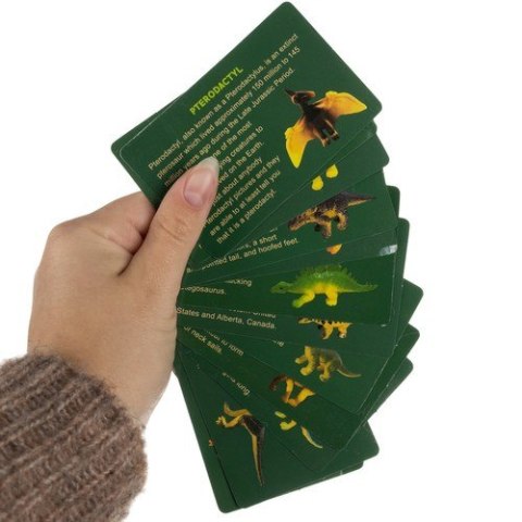 Jajo dinozaura - wykopaliska 24981 Jajo dinozaura - wykopaliska 24981