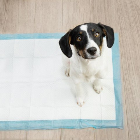 Podkład higieniczny 60x40cm 100szt. Purlov 21599 Podkład higieniczny 60x40cm 100szt. Purlov 21599