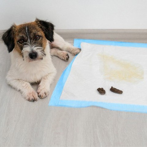 Podkład higieniczny 60x60cm 100szt. Purlov 21601 Podkład higieniczny 60x60cm 100szt. Purlov 21601