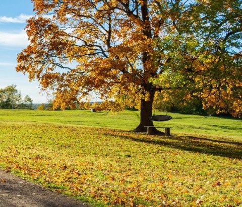 Huśtawka bocianie gniazdo 100 cm czarna Huśtawka bocianie gniazdo 100 cm czarna